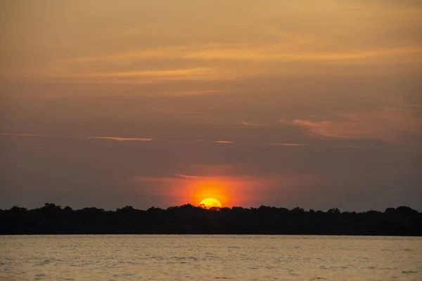 Beautiful View Orange Sun Rising Negro River Brazilian Amazon Amazonas — Stock Photo, Image