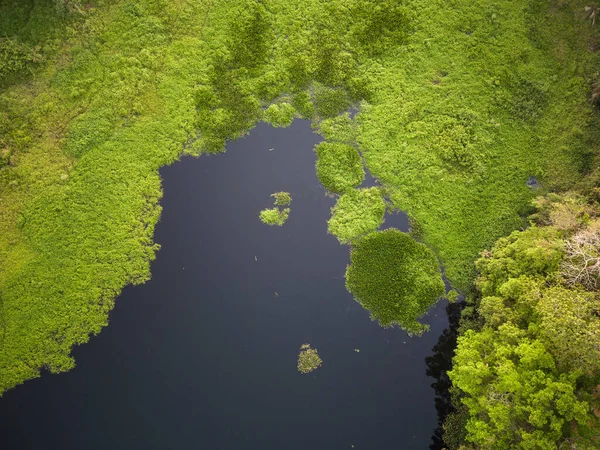 Bela Vista Aérea Para Lago Perto Refúgio Caiman Área Inundável — Fotografia de Stock