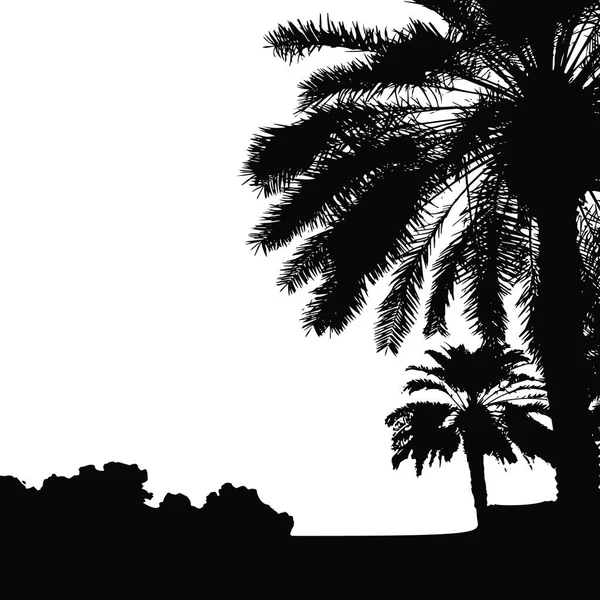 Sylwetka wektora palm. Palma kokosowa z wektorem kokosów. Drzewa wektorowe plaży. EPS 10 — Wektor stockowy