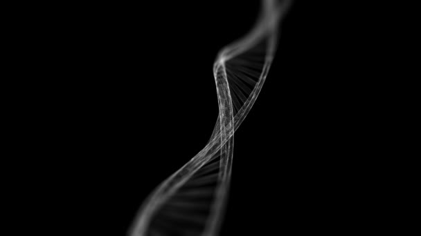 Dna-Genom rotiert nahtlose Animation. Biogenetische Medizin. Gene Helix Modell 4k Bewegungshintergrund. Zukunftskonzept Molekularbiologie. — Stockvideo