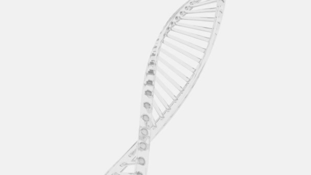 Opieka zdrowotna i biologia medyczna. Badania genetyczne DNA pętli bez szwu 4k. — Wideo stockowe