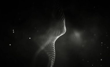 Siyah teknoloji geçmişi. Küresel iletişim ağı kavramı.