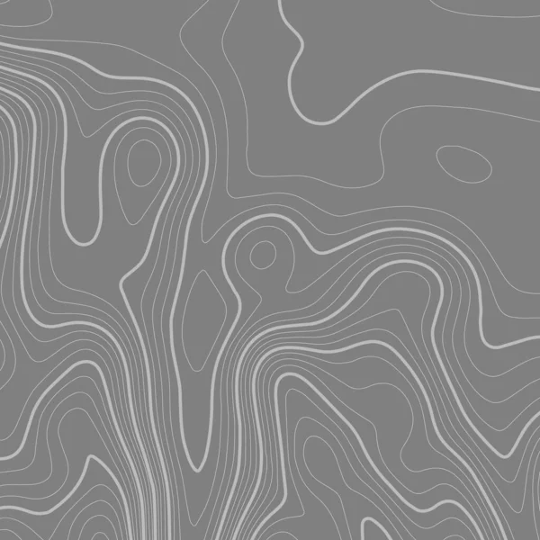 Топографічна Карта Білому Тлі Лінії Висоти Карти Топо Контур Векторні — стоковий вектор
