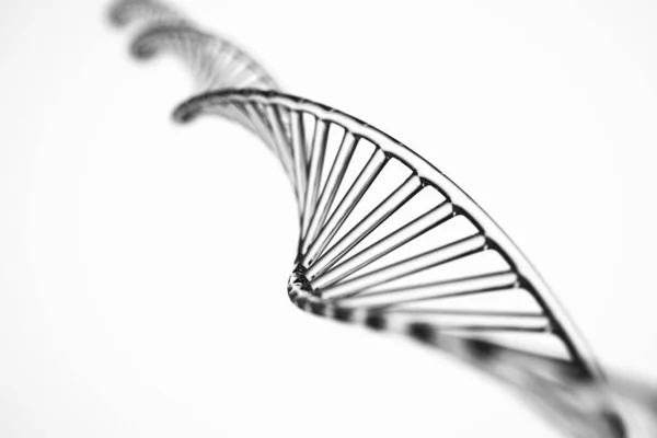 철저 한 배경. X 염색체를 가진 DNA 분자 — 스톡 사진