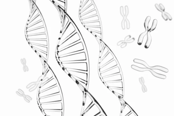 철저 한 배경. X 염색체를 가진 DNA 분자 — 스톡 사진