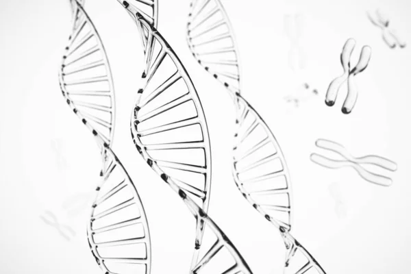 Soyut arkaplan. X kromozomlu DNA molekülü — Stok fotoğraf