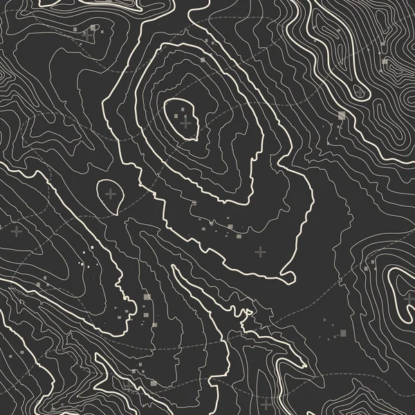 グレーの輪郭ベクトル地形 地理山地形ベクトル図 地形の模様の質感 土地ベクトルの地形図 標高グラフィックコンター高線 — ストックベクタ