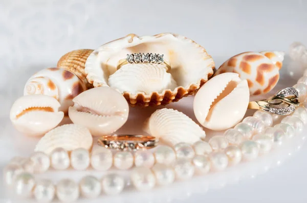 Bijoux Parmi Les Coquillages Belles Coquillages Une Chaîne Perles Anneaux — Photo
