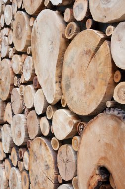 Tahta levhalar duvar. Kütük dilimleri. Soyut arkaplan..