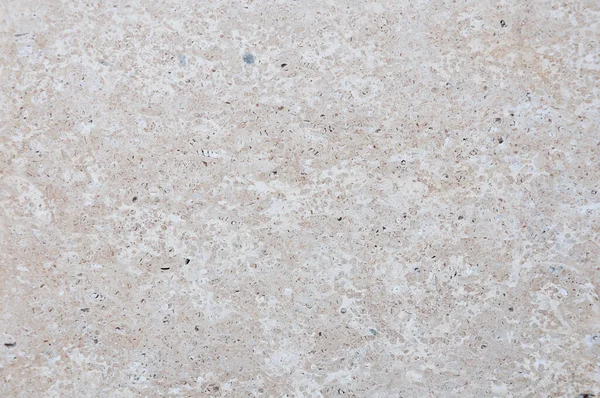 Coquina Limestone Cerrar Textura Superficie Fondo — Foto de Stock