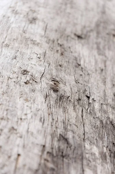 Old Weathered Wood Background Wooden Backdrop — Fotografia de Stock