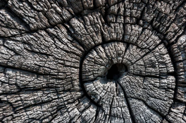 Old Weathered Wood Background Wooden Backdrop — Stock Fotó