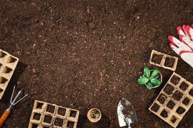 Bahçıvanlık aletleri verimli toprak dokusu arka planında yukarıdan görünüyor, yukarıdan. Bahçıvanlık ya da ekme konsepti. Bahar bahçesinde çalışıyorum. Kenarlık kompozisyonu ile düz yatıyordu