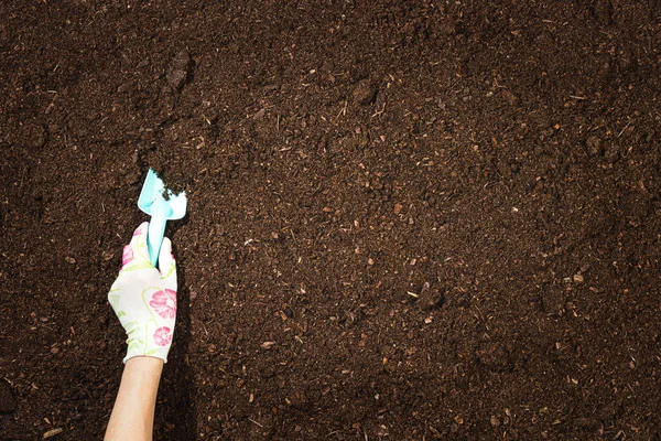 Alat Berkebun Pada Latar Belakang Tekstur Tanah Subur Terlihat Dari — Stok Foto