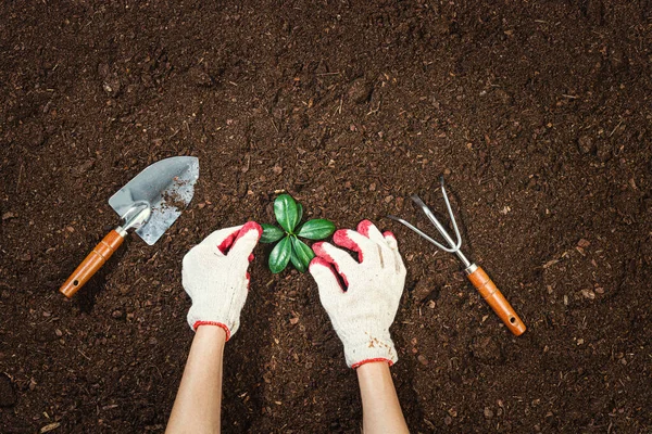 Alat Berkebun Pada Latar Belakang Tekstur Tanah Subur Terlihat Dari — Stok Foto