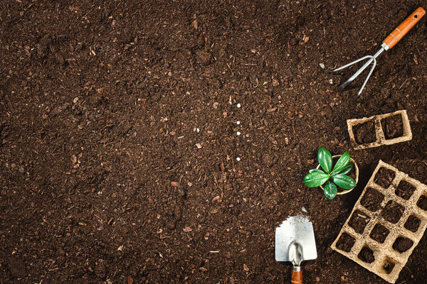 Gardening tools on fertile soil texture background seen from above, top view. Gardening or planting concept. Working in the spring garden. Flat lay mockup with border composition