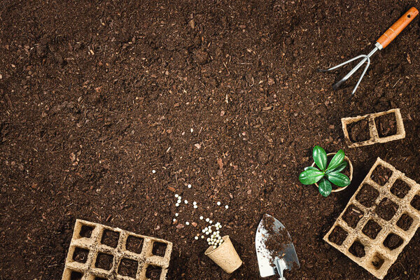 Gardening tools on fertile soil texture background seen from above, top view. Gardening or planting concept. Working in the spring garden. Flat lay mockup with border composition