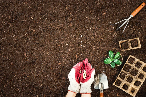Ferramentas Jardinagem Solo Fértil Textura Fundo Visto Cima Vista Superior — Fotografia de Stock