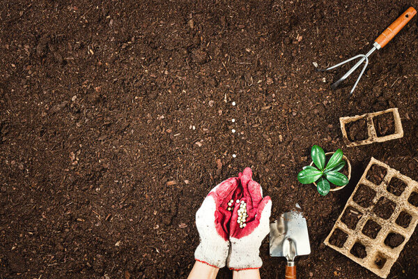Gardening tools on fertile soil texture background seen from above, top view. Gardening or planting concept. Working in the spring garden. Flat lay mockup with border composition