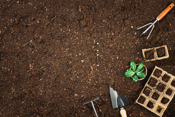 Gardening tools on fertile soil texture background seen from above, top view. Gardening or planting concept. Working in the spring garden. Flat lay mockup with border composition