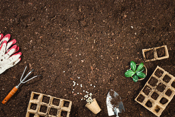 Gardening tools on fertile soil texture background seen from above, top view. Gardening or planting concept. Working in the spring garden. Flat lay mockup with border composition
