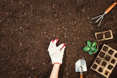 Bahçıvanlık aletleri verimli toprak dokusu arka planında yukarıdan görünüyor, yukarıdan. Bahçıvanlık ya da ekme konsepti. Bahar bahçesinde çalışıyorum. Kenarlık kompozisyonu ile düz yatıyordu