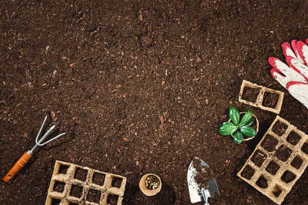 Gardening tools on fertile soil texture background seen from above, top view. Gardening or planting concept. Working in the spring garden. Flat lay mockup with border composition