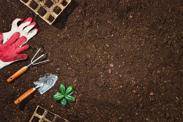 Herramientas Jardinería Sobre Fondo Fértil Textura Del Suelo Visto Desde Imágenes de stock libres de derechos