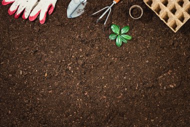 Bahçıvanlık aletleri verimli toprak dokusu arka planında yukarıdan görünüyor, yukarıdan. Bahçıvanlık ya da ekme konsepti. Bahar bahçesinde çalışıyorum. Kenarlık kompozisyonu ile düz yatıyordu