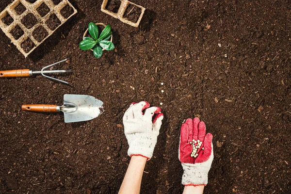 Gardening tools on fertile soil texture background seen from above, top view. Gardening or planting concept. Working in the spring garden. Flat lay mockup with border composition