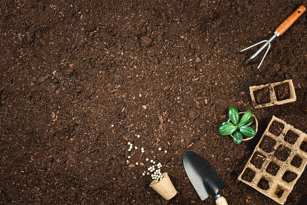 Gardening tools on fertile soil texture background seen from above, top view. Gardening or planting concept. Working in the spring garden. Flat lay mockup with border composition