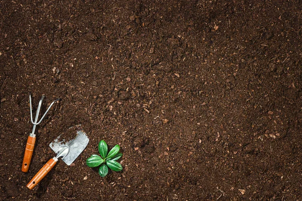 Herramientas Jardinería Sobre Fondo Fértil Textura Del Suelo Visto Desde Imagen de stock