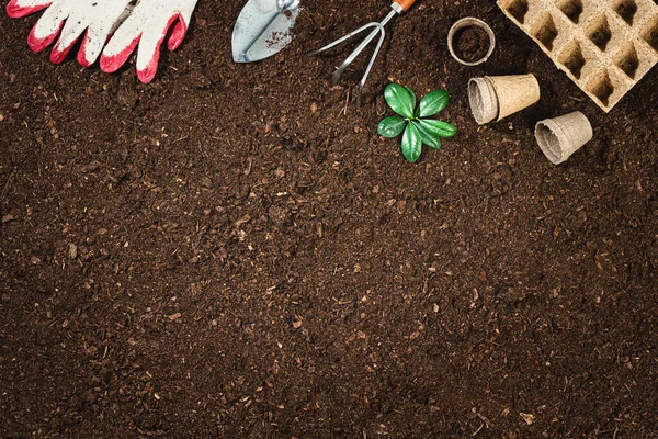 Ferramentas Jardinagem Solo Fértil Textura Fundo Visto Cima Vista Superior — Fotografia de Stock