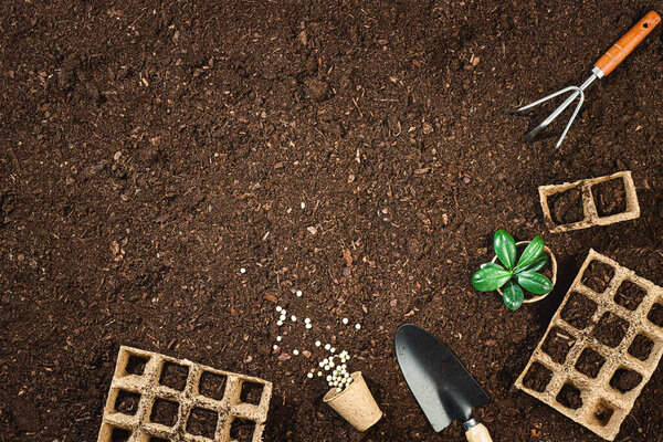 Gardening tools on fertile soil texture background seen from above, top view. Gardening or planting concept. Working in the spring garden. Flat lay mockup with border composition