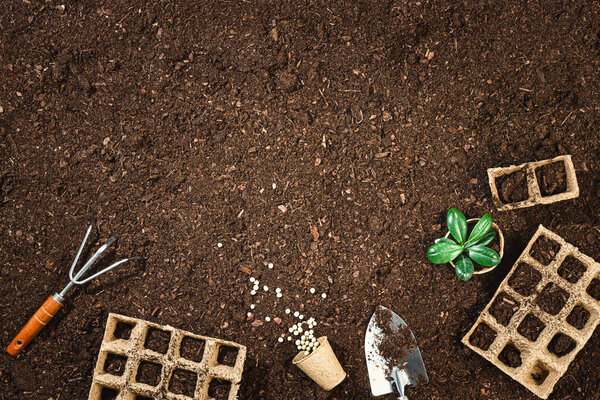 Gardening tools on fertile soil texture background seen from above, top view. Gardening or planting concept. Working in the spring garden. Flat lay mockup with border composition