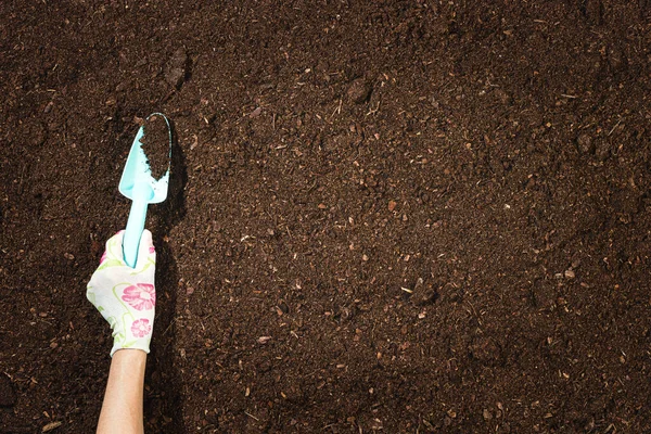 Alat Berkebun Pada Latar Belakang Tekstur Tanah Subur Terlihat Dari Stok Foto