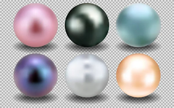 Gerçekçi inciler. Yuvarlak pembe, siyah, mavi, inci istiridye kabuğunda şekillenmiş, bir mücevher. Vektör illüstrasyonu