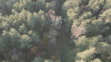 Ormanda tren, demiryolu. Uzaktan kumandalı uçak.. 