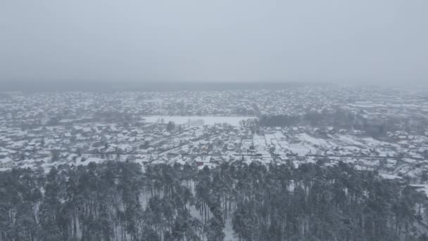 Kışın çam ormanlarının insansız hava görüntüsü. — Stok video