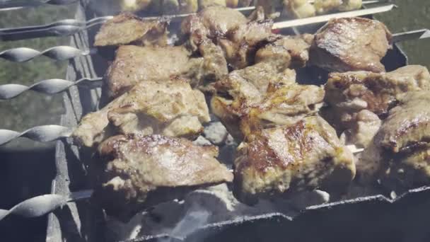 Grill mięsny na szaszłykach. Gorący shashlik gotowane na węgiel drzewny na przenośnym grillu. — Wideo stockowe
