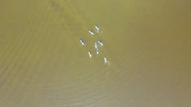 Flygfoto av grupp av människor kajakpaddling. — Stockvideo