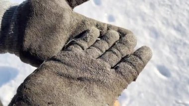 Eldivenlerde evcil hayvan kılı. Yavaş Hareket