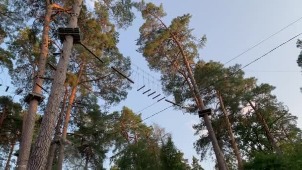 Parc aventure tyrolienne en forêt. — Video