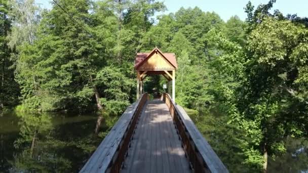 Létání přes řeku a na dřevěném mostě v borovém lese. — Stock video