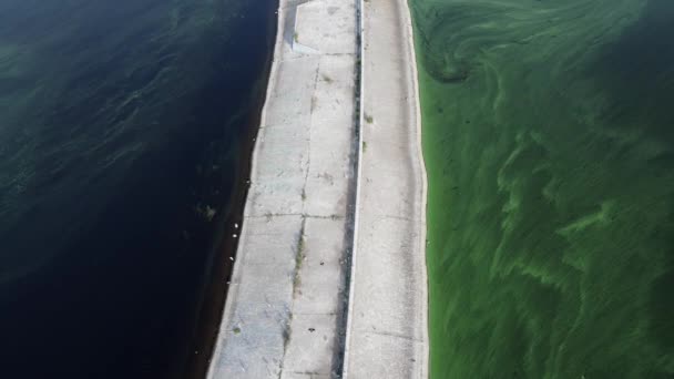 Old lighthouse. Algal bloom. Top down drone shot. Before the war in Ukraine. — ストック動画