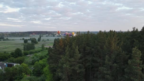 Aerial View Hot Air Balloon Festival Take Dawn Fog Forest — Wideo stockowe