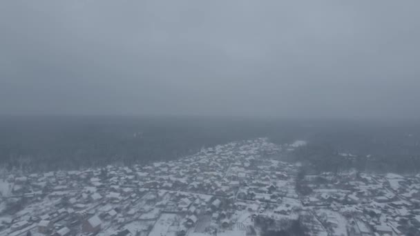 Drone Aerial View Forest Village Lake Winter Snow Foggy Weather — Stock Video
