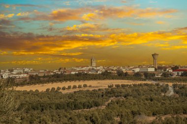 Zeytin yağı üretimi için hazırlanan bir zeytinlik manzarası, Huelva, Endülüs, İspanya 'da Beas kasabası
