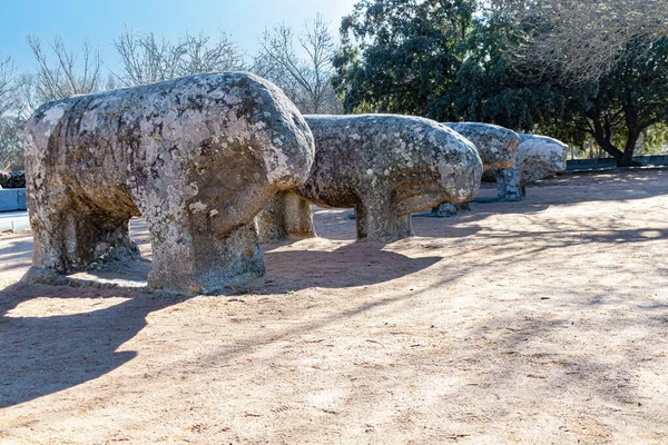 Los Toros Guisando Son Grupo Escultórico Que Encuentra Cerro Guisando — Foto de Stock