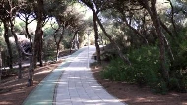 Punta Umbra Huelva 'daki Portil sahilinin çam ormanları arasında yaya yürüyüşü ve bisiklet yolu